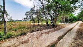 Land for sale in Don Chimphli, Chachoengsao