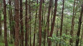 Land for sale in Santo Tomas Proper, Benguet