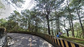 Land for sale in Santo Tomas Proper, Benguet