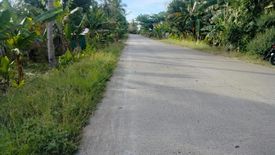 Land for sale in Catungawan Sur, Bohol