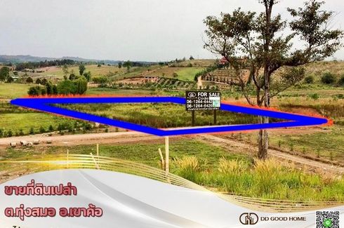 Land for sale in Nong Mae Na, Phetchabun