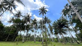 Land for sale in Khok Kloi, Phang Nga