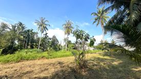 Land for sale in Thai Mueang, Phang Nga