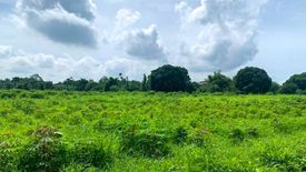 Land for sale in Adlas, Cavite