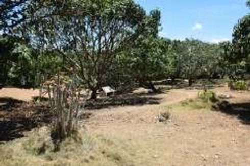 Land for sale in Silab, Negros Oriental