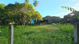 Land for sale in Sacsac, Negros Oriental
