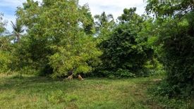 Land for sale in Catarman, Bohol