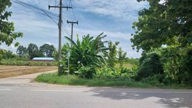 Land for sale in Hukwang, Nakhon Sawan