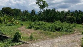 Land for sale in Enrique Villanueva, Negros Oriental