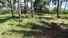 Land for sale in Luyang, Cebu