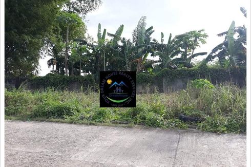 Land for sale in Jubay, Cebu