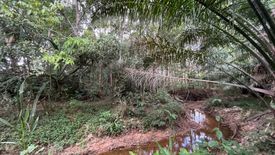 Land for sale in Na Toei, Phang Nga