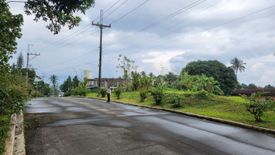 Land for sale in Pasong Langka, Cavite