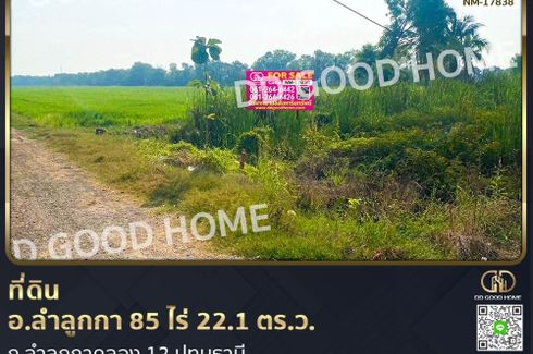 Land for sale in Lam Sai, Pathum Thani