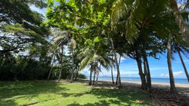 Land for sale in Poblacion II, Negros Oriental
