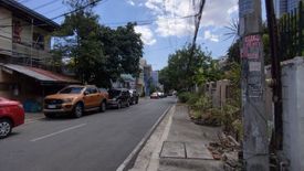 Land for sale in Plainview, Metro Manila near MRT-3 Boni