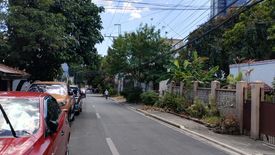 Land for sale in Plainview, Metro Manila near MRT-3 Boni