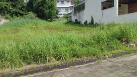 Land for sale in Highlands Pointe, Dolores, Rizal