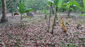 Land for sale in Reserva, Aurora