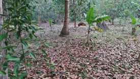 Land for sale in Reserva, Aurora