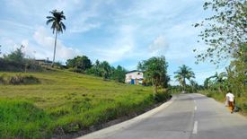 Land for sale in Saksak, Cebu