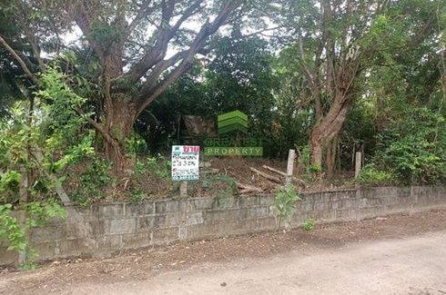 Land for sale in Lat Bua Khao, Nakhon Ratchasima