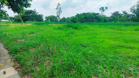 Land for sale in Lumira NUVALI, Canlubang, Laguna