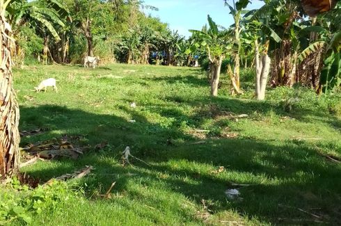 Land for sale in Banilad, Negros Oriental