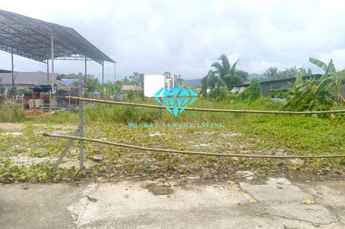 Land for sale in Thep Krasatti, Phuket