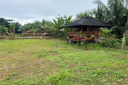Land for sale in Baring, Cebu