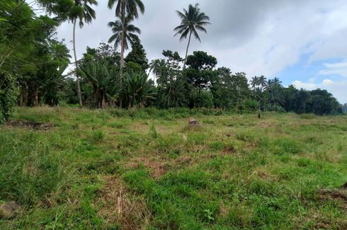 Land for sale in Daliaon Plantation, Davao del Sur