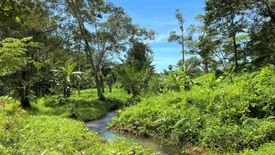 ขายที่ดิน ใน ศรีสุนทร, ถลาง