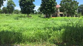 Land for sale in Tacas, Iloilo