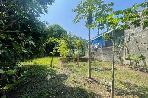 Land for sale in Tubigan, Laguna