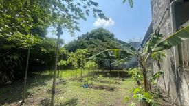 Land for sale in Tubigan, Laguna