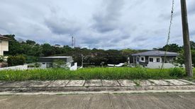 Land for sale in Magtuod, Davao del Sur