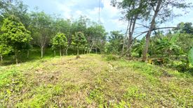 Land for sale in Talat Yai, Phuket