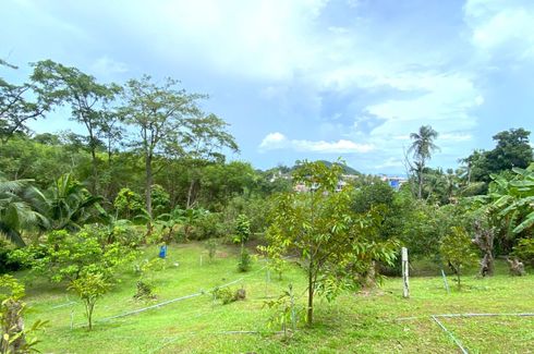 Land for sale in Talat Yai, Phuket