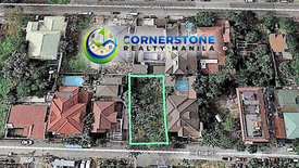 Land for sale in Teheran St. Multinational Village Paranaque City, Don Bosco, Metro Manila near LRT-1 Bambang