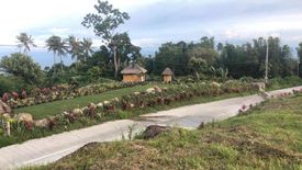 Land for sale in Tunga-Tunga, Negros Oriental