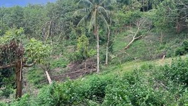 Land for sale in Tupsan Pequeño, Camiguin