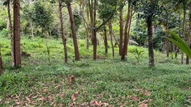 Land for sale in Tupsan Pequeño, Camiguin