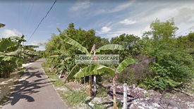 Land for sale in Dao, Bohol