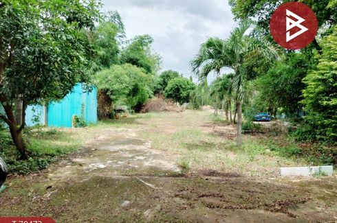Land for sale in Wang Daeng, Uttaradit