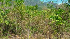 Land for sale in Abis, Negros Oriental