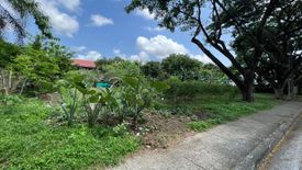 Land for sale in New Alabang Village, Metro Manila