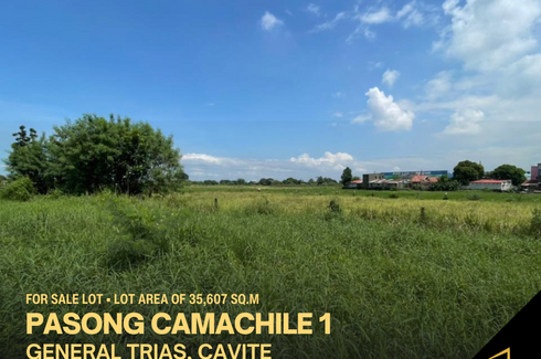 Land for sale in Pasong Camachile I, Cavite