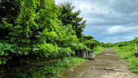 Land for sale in Prinza, Laguna
