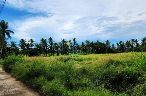Land for sale in Guinsay, Cebu