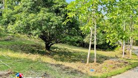 Land for sale in Mantija, Cebu